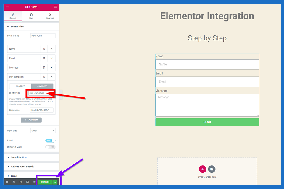 6- Give a name to custom ID place and then click publish.png