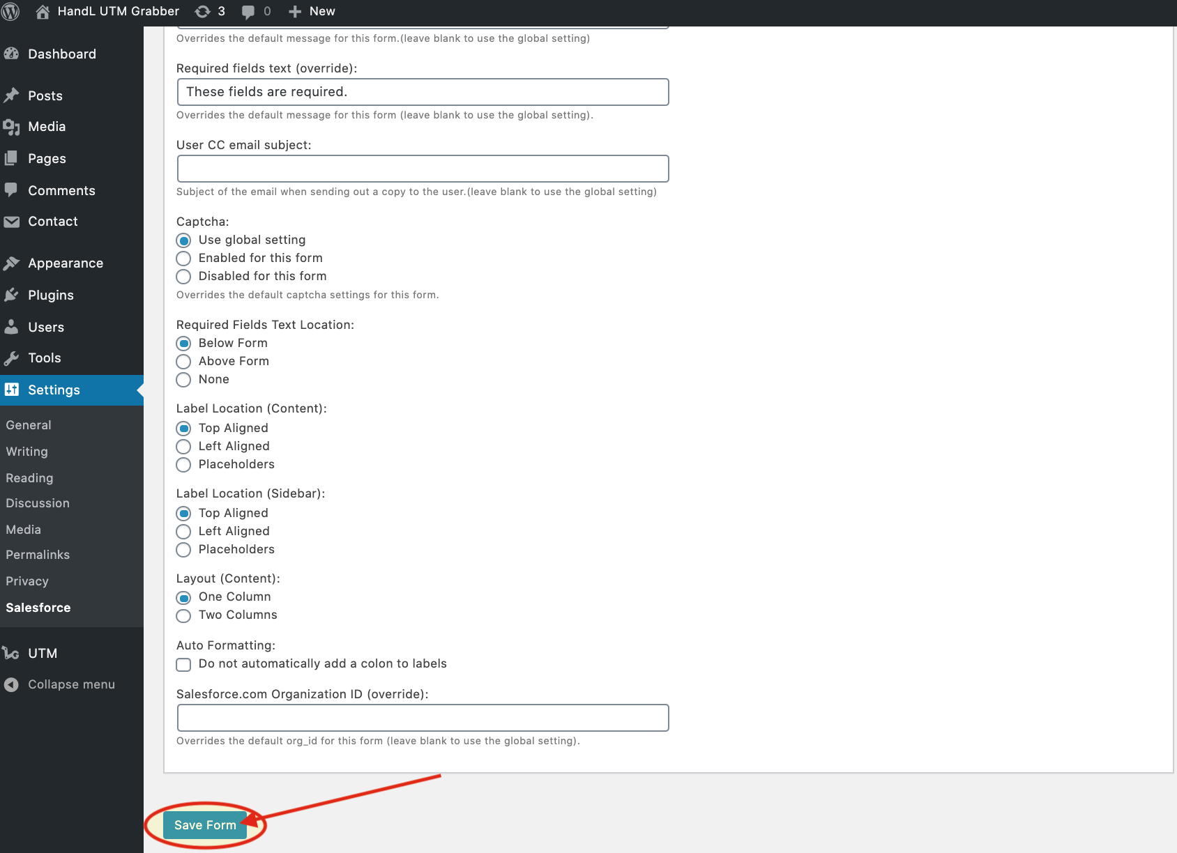 SalesForce 4-) Save the Form.png