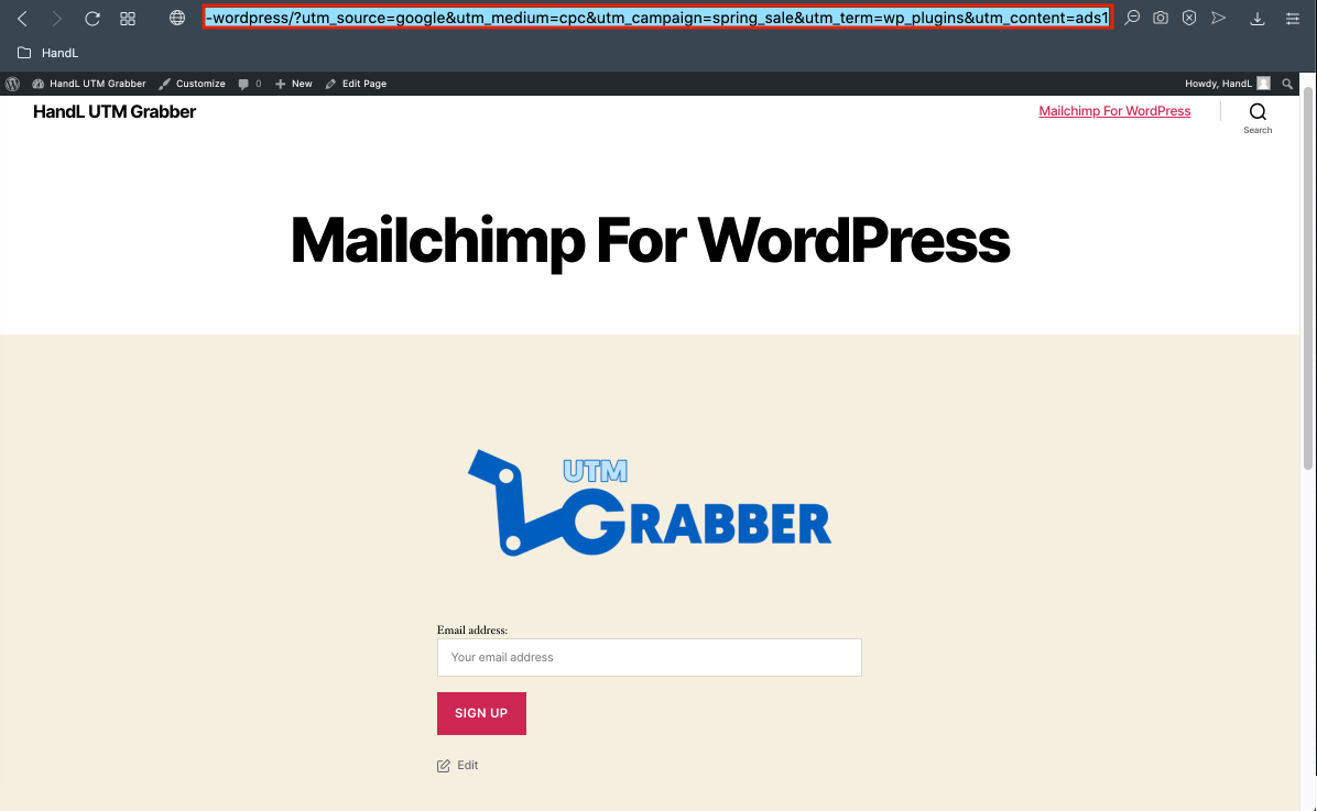 MC4WP 10-)Paste the URL that you copied.png