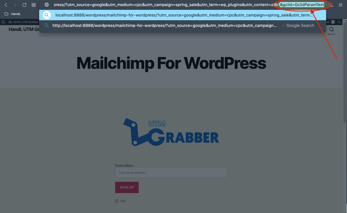 MC4WP 11-)Write the gclid parameter at the end of the URL Then send the form.png