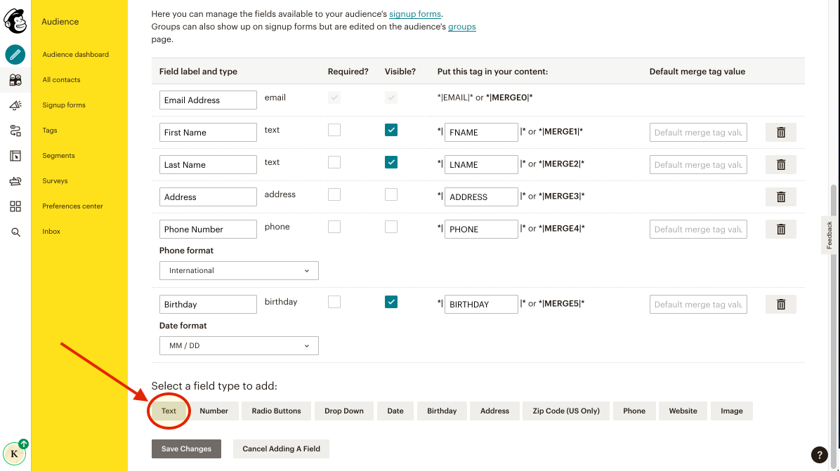 MC4WP 3-)Add a Text Field.png